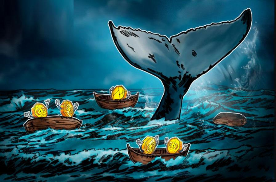 最大的比特币（BTC）巨鲸真的能决定市场何时变成绿色或红色吗？