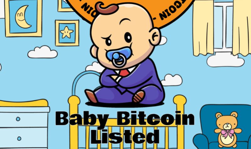 Binance Super Cycle (BSC)